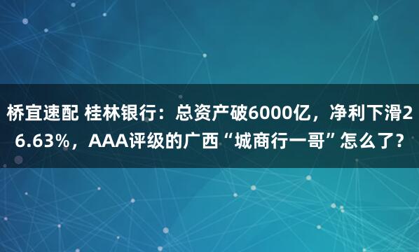 桥宜速配 桂林银行：总资产破6000亿，净利下滑26.63%，AAA评级的广西“城商行一哥”怎么了？